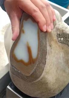 这块石包玉切火了,但不是所有的石包玉都能有那么好的运和田玉鉴定保
